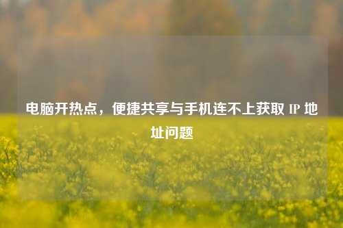 电脑开热点,便捷共享与手机连不上获取 IP 地址问题
