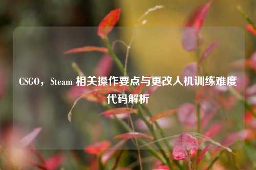 CSGO,Steam 相关操作要点与更改人机训练难度代码解析