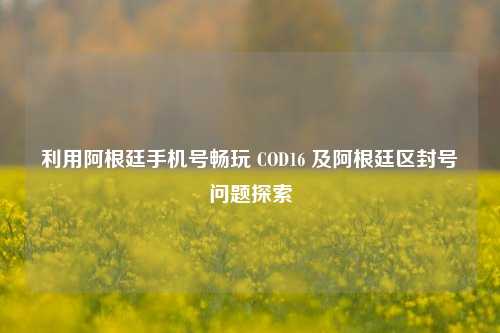 利用阿根廷手机号畅玩 COD16 及阿根廷区封号问题探索