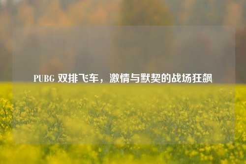 PUBG 双排飞车,***与默契的战场狂飙