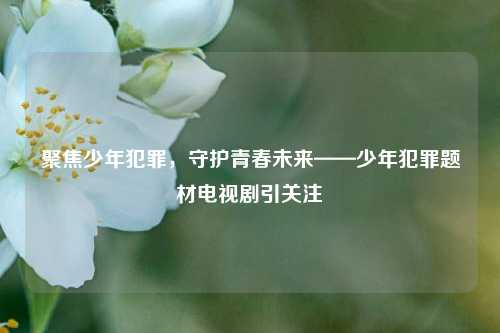 聚焦少年犯罪,守护青春未来——少年犯罪题材电视剧引关注
