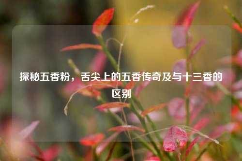 探秘五香粉,舌尖上的五香传奇及与十三香的区别
