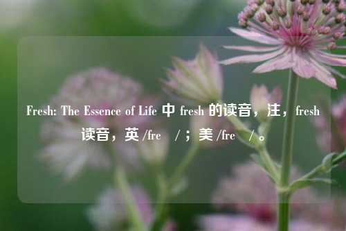 Fresh: The Essence of Life 中 fresh 的读音,注,fresh读音,英 /freʃ/ ;美 /freʃ/ 。
