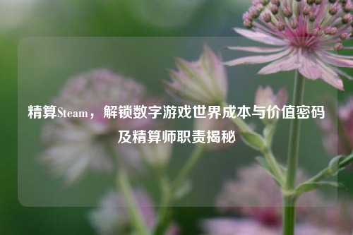 精算Steam,解锁数字游戏世界成本与价值密码及精算师职责揭秘