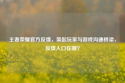 王者荣耀官方反馈,架起玩家与游戏沟通桥梁,反馈入口在哪?