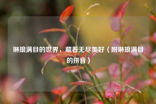 琳琅满目的世界，藏着无尽美好（附琳琅满目的拼音）