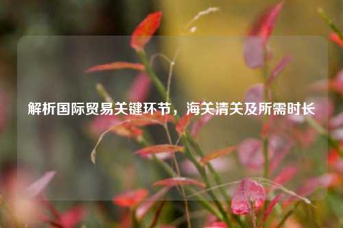解析国际贸易关键环节,海关清关及所需时长