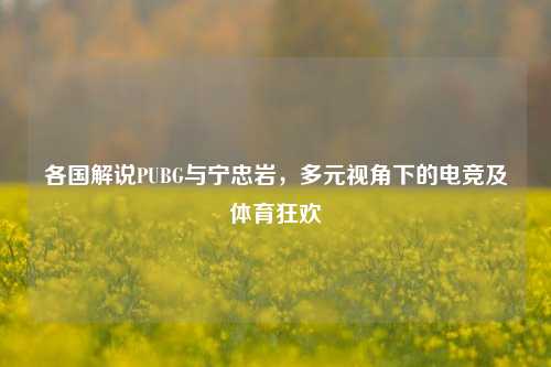 各国解说PUBG与宁忠岩，多元视角下的电竞及体育狂欢