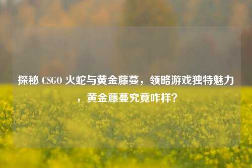 探秘 CSGO 火蛇与黄金藤蔓,领略游戏独特魅力,黄金藤蔓究竟咋样?