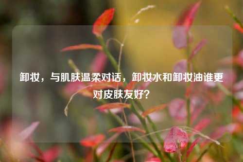 卸妆,与肌肤温柔对话,卸妆水和卸妆油谁更对皮肤友好?