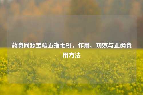药食同源宝藏五指毛桃，作用、功效与正确食用 *** 