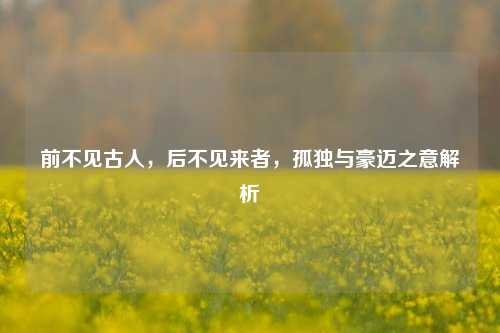 前不见古人,后不见来者,孤独与豪迈之意解析