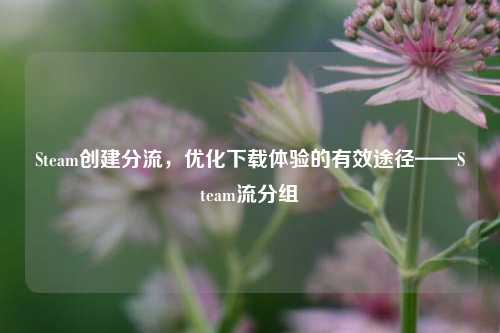 Steam创建分流,优化下载体验的有效途径——Steam流分组