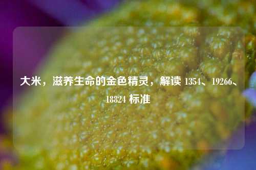 大米,滋养生命的金色精灵,解读 1354、19266、18824 标准