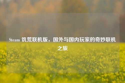 Steam 饥荒联机版,国外与国内玩家的奇妙联机之旅