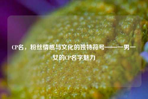 CP名,粉丝情感与文化的独特符号——一男一女的CP名字魅力