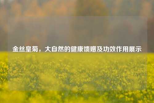 金丝皇菊，大自然的健康馈赠及功效作用展示