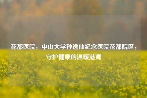 花都医院，中山大学孙逸仙纪念医院花都院区，守护健康的温暖港湾