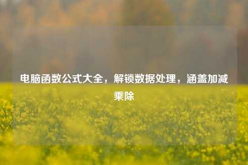 电脑函数公式大全,解锁数据处理,涵盖加减乘除