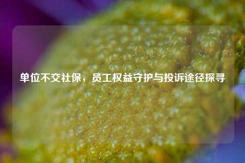 单位不交社保,员工权益守护与投诉途径探寻