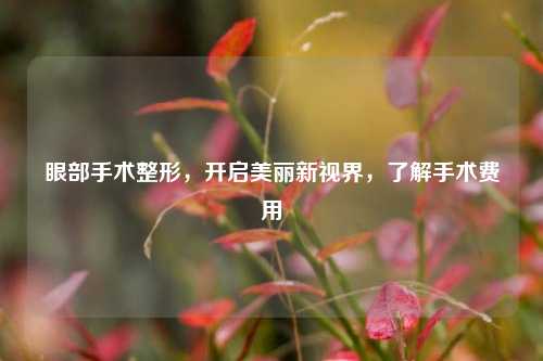 眼部手术整形，开启美丽新视界，了解手术费用