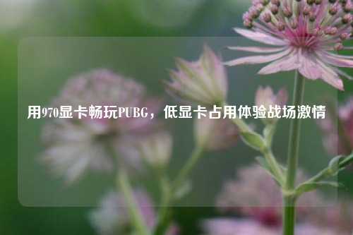 用970显卡畅玩PUBG，低显卡占用体验战场***