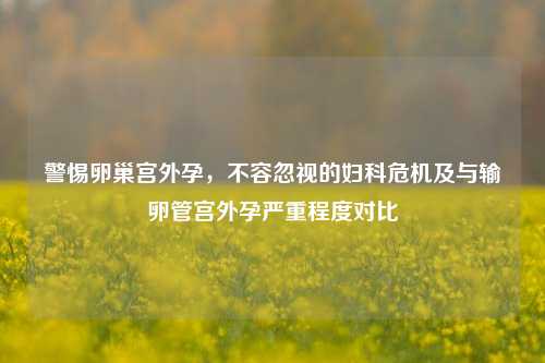 警惕卵巢宫外孕,不容忽视的妇科危机及与输卵管宫外孕严重程度对比