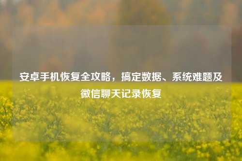 安卓手机恢复全攻略,搞定数据、系统难题及微信聊天记录恢复
