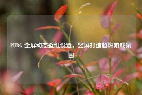 PUBG 全屏动态壁纸设置,竖屏打造超燃游戏氛围