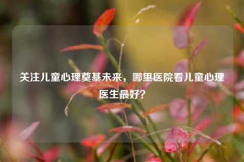 关注儿童心理奠基未来,哪里医院看儿童心理医生更好?