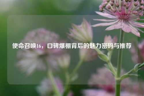 使命召唤16，口碑爆棚背后的魅力密码与推荐