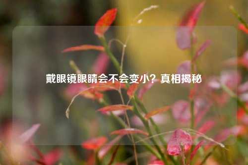 戴眼镜眼睛会不会变小?真相揭秘