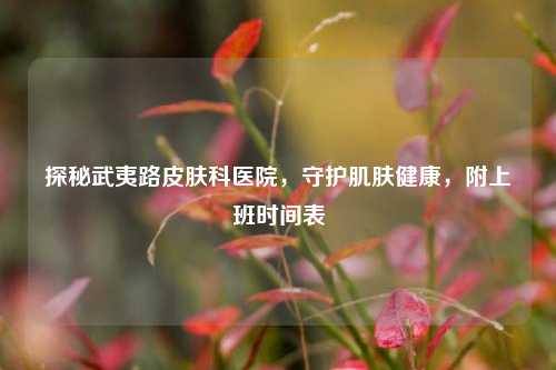 探秘武夷路皮肤科医院,守护肌肤健康,附上班时间表