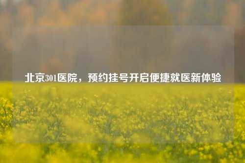 北京301医院，预约挂号开启便捷就医新体验