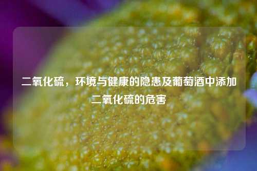二氧化硫,环境与健康的隐患及葡萄酒中添加二氧化硫的危害