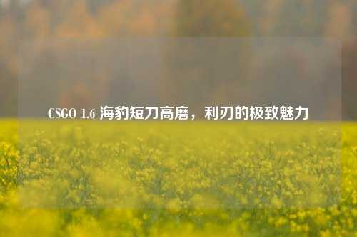 CSGO 1.6 海豹短刀高磨，利刃的极致魅力