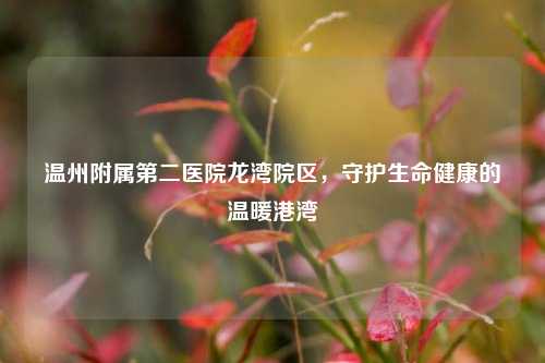 温州附属第二医院龙湾院区,守护生命健康的温暖港湾
