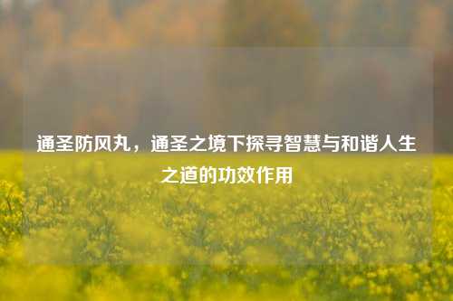 通圣防风丸,通圣之境下探寻智慧与和谐人生之道的功效作用