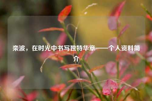 栾波，在时光中书写独特华章——个人资料简介