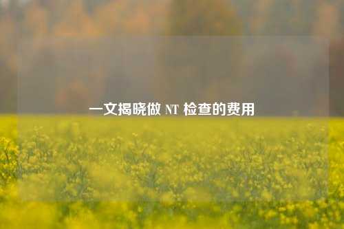 一文揭晓做 NT 检查的费用