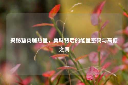 揭秘猪肉脯热量,美味背后的能量密码与高低之问