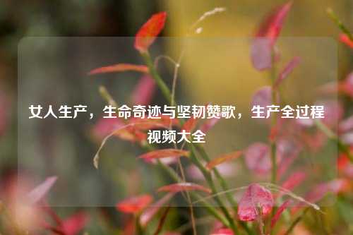 女人生产,生命奇迹与坚韧赞歌,生产全过程视频大全