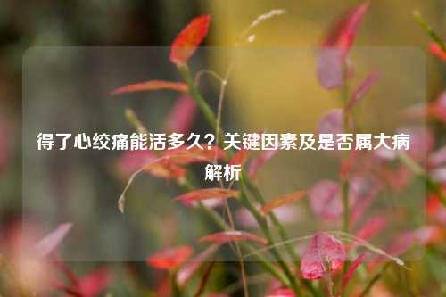 得了心绞痛能活多久?关键因素及是否属大病解析