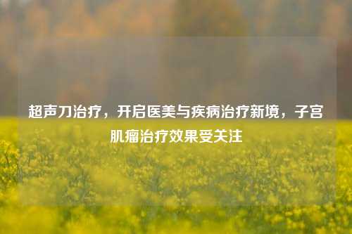超声刀治疗,开启医美与疾病治疗新境,***肌瘤治疗效果受关注