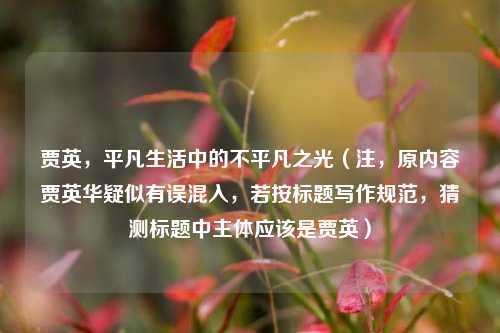 贾英,平凡生活中的不平凡之光(注,原内容贾英华疑似有误混入,若按标题写作规范,猜测标题中主体应该是贾英)