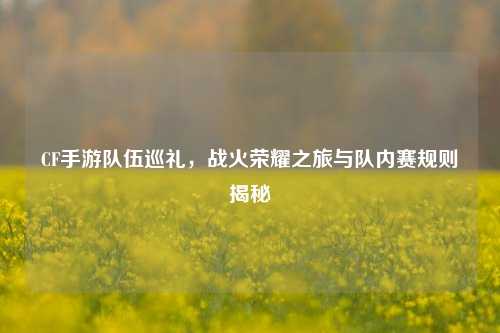 CF手游队伍巡礼,战火荣耀之旅与队内赛规则揭秘