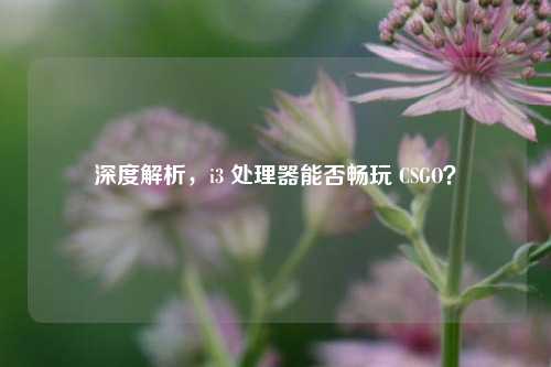 深度解析，i3 处理器能否畅玩 CSGO？