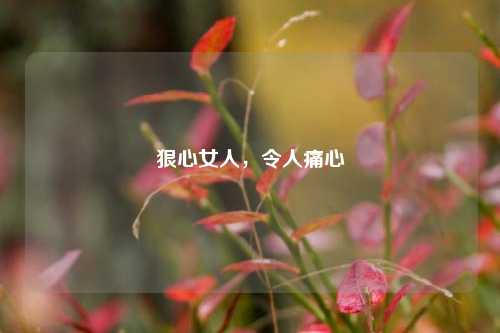 狠心女人,令人痛心
