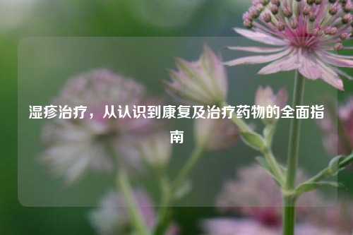 湿疹治疗，从认识到康复及治疗药物的全面指南