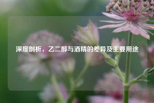 深度剖析,乙二醇与酒精的差异及主要用途